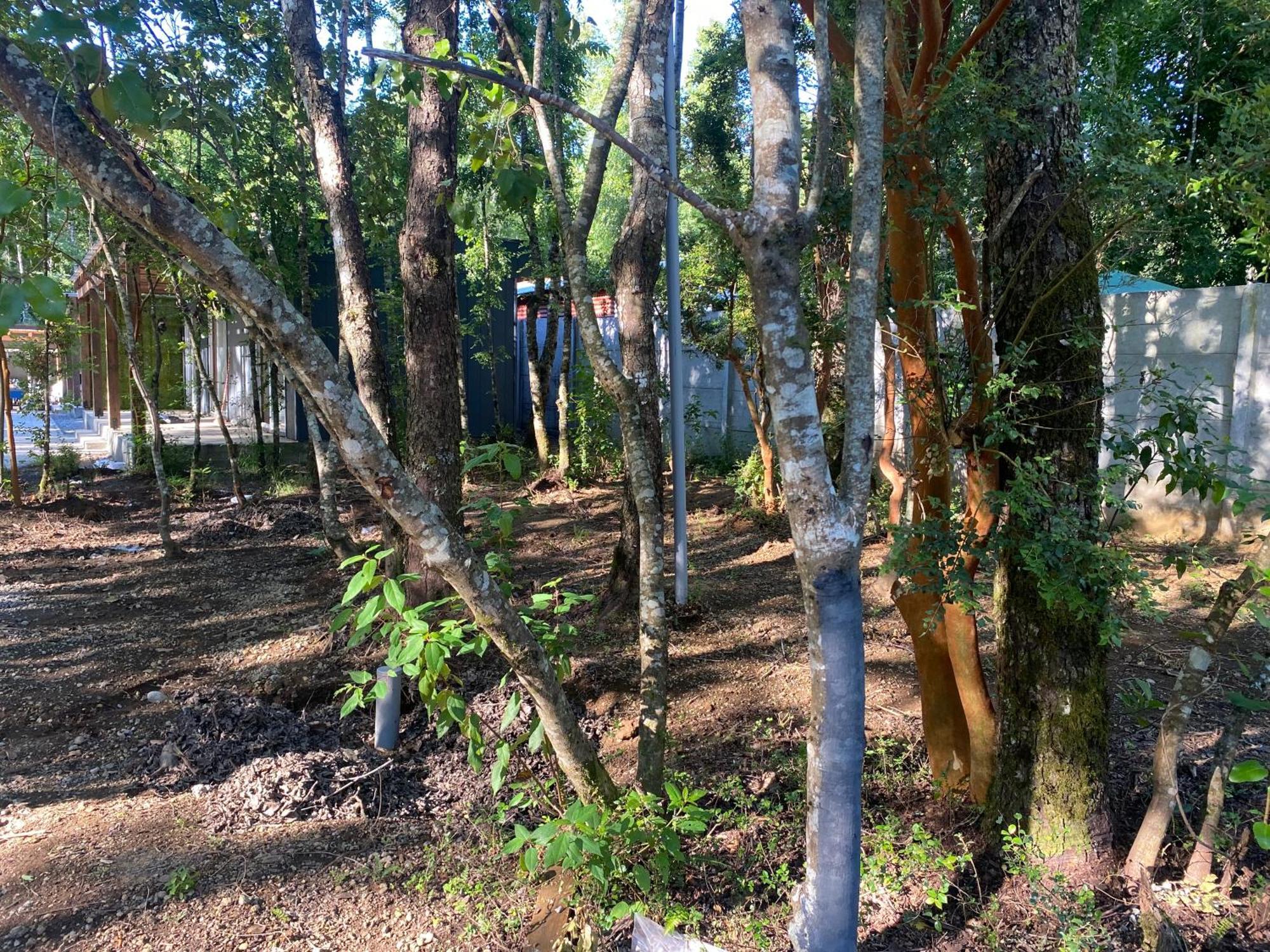 Boker Tov Pucon Hotel Exterior photo