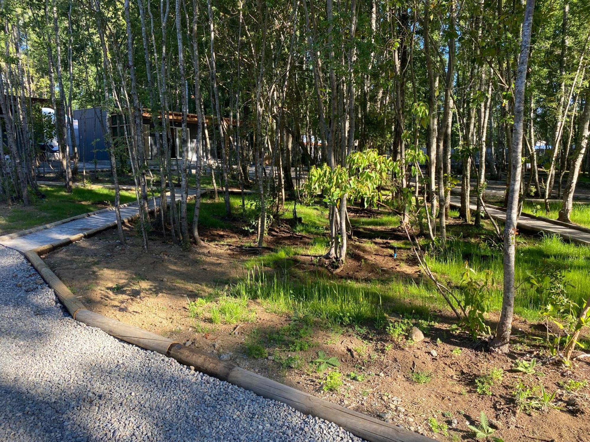 Boker Tov Pucon Hotel Exterior photo