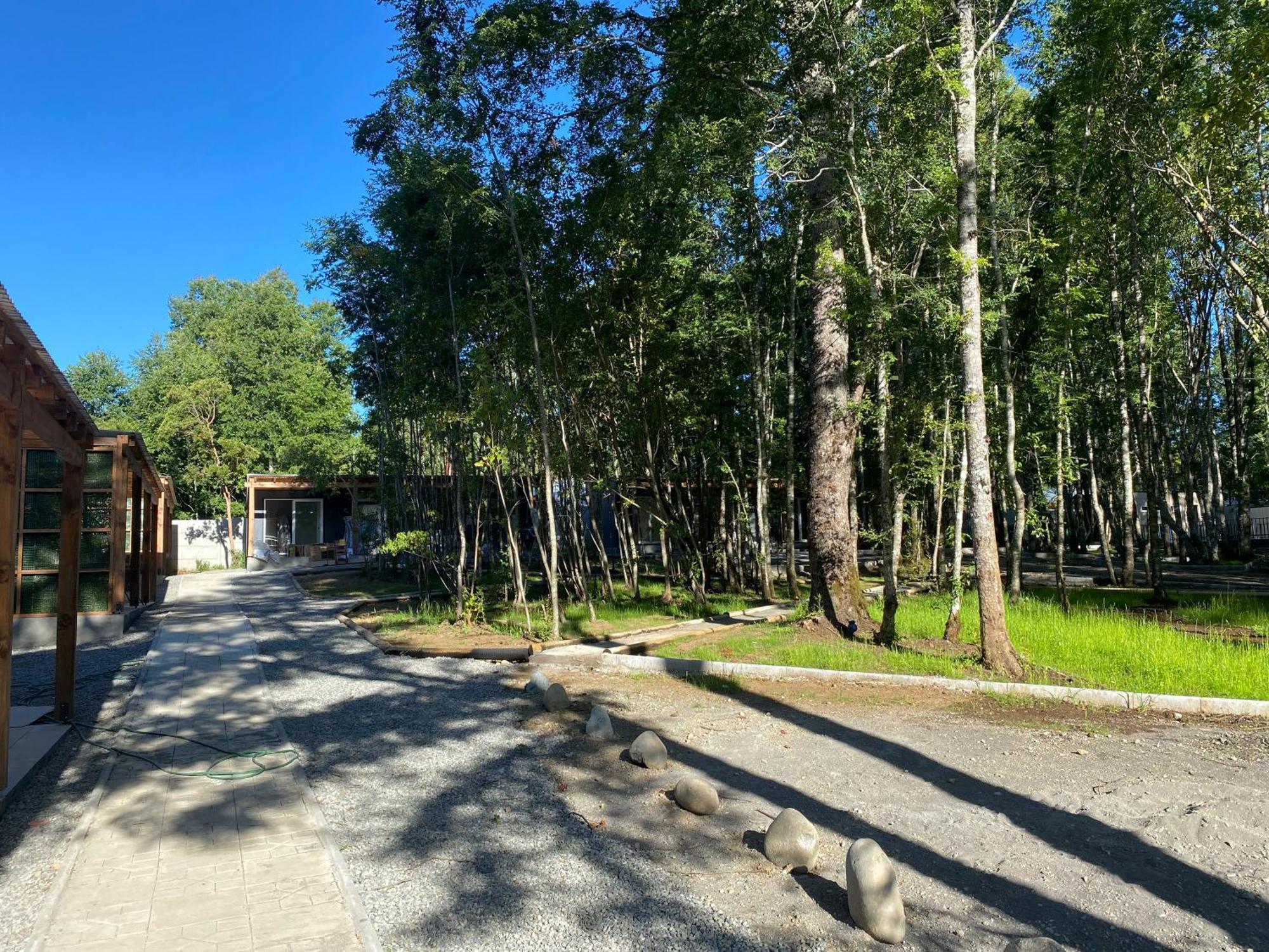 Boker Tov Pucon Hotel Exterior photo
