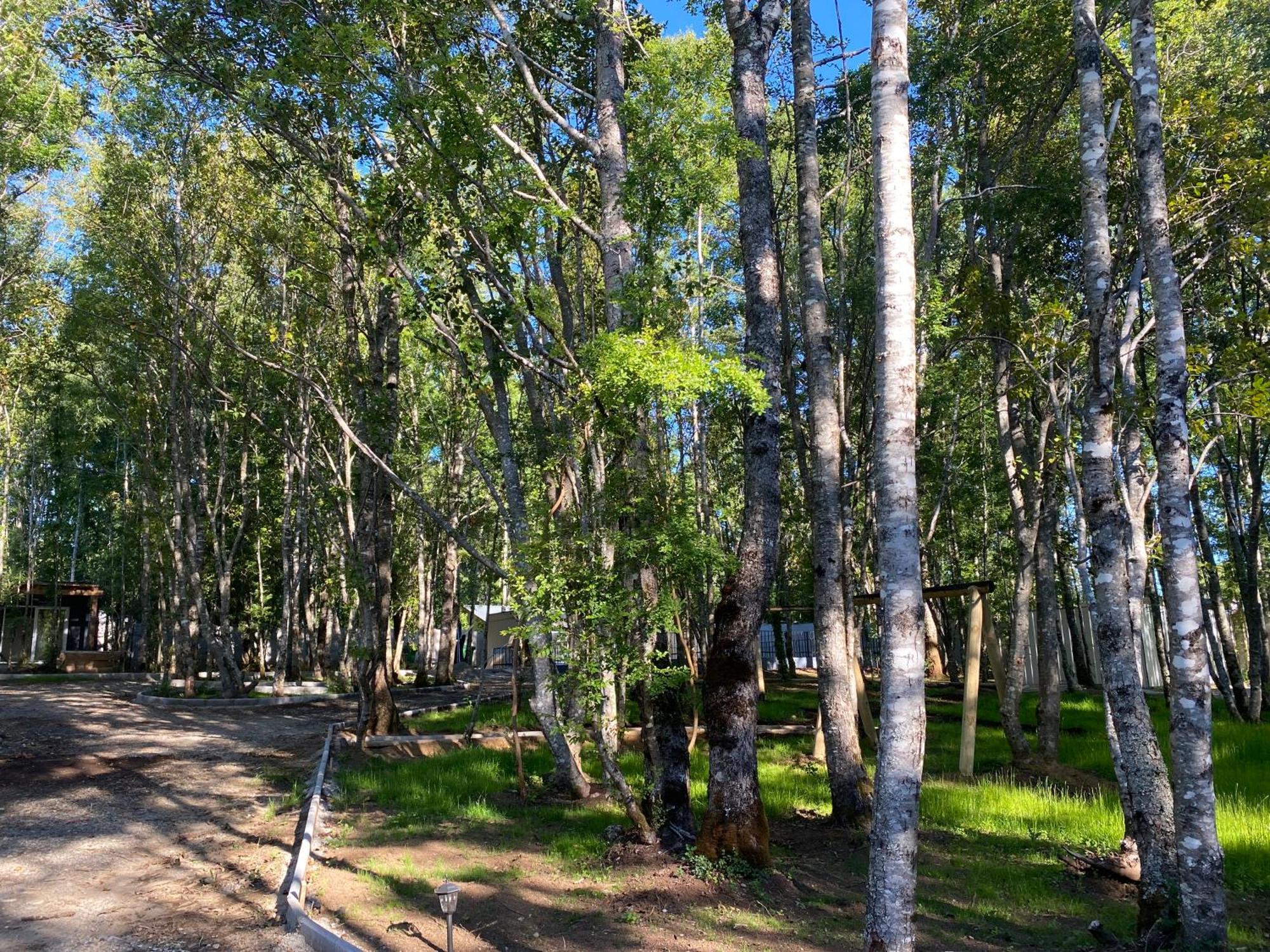 Boker Tov Pucon Hotel Exterior photo