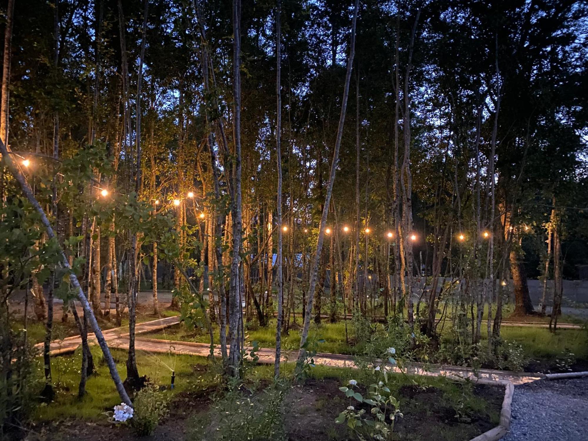 Boker Tov Pucon Hotel Exterior photo
