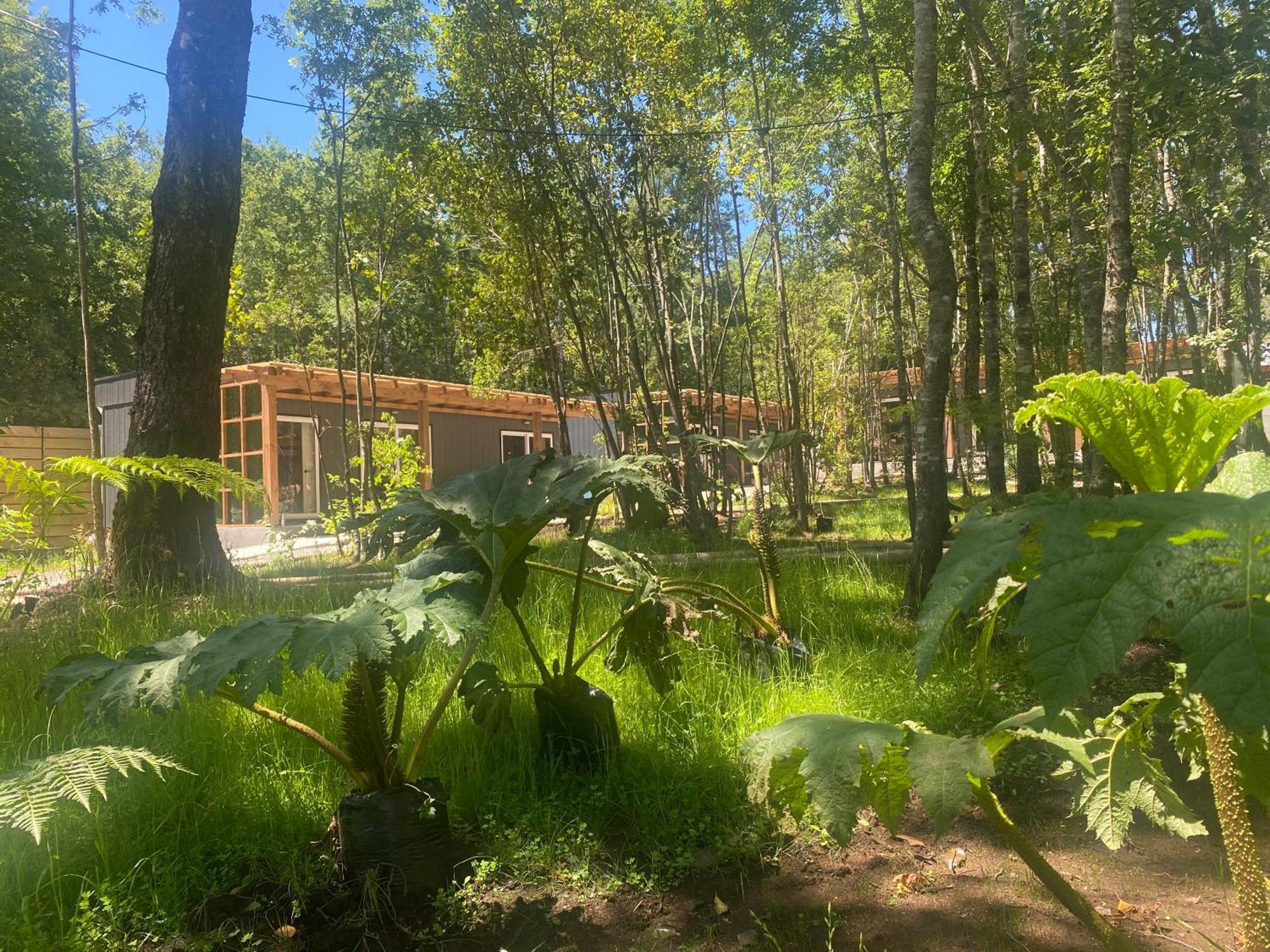 Boker Tov Pucon Hotel Exterior photo